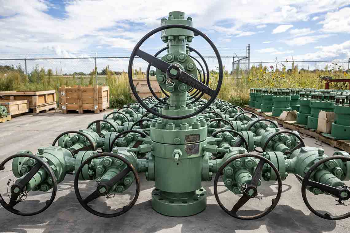 Photo of well green heads (TMyers_DenverCO_Sept2022--3002)