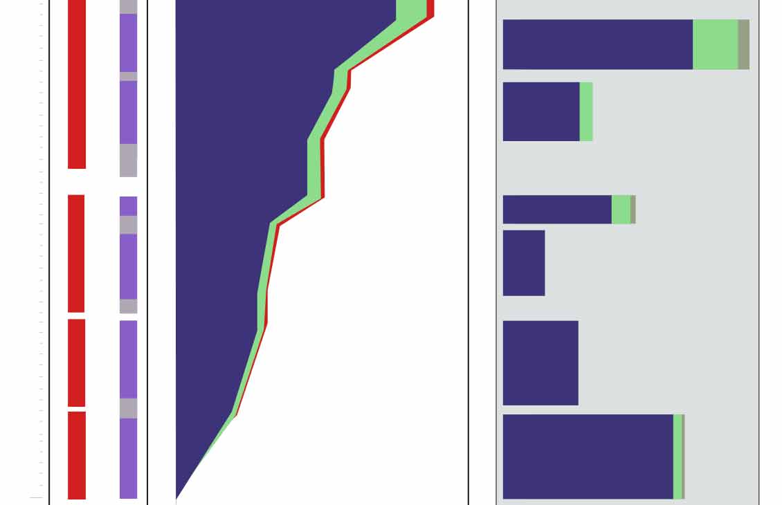 Treatment stages, fluids, and purposes paired with a depth plot of total and incremental flow rates.