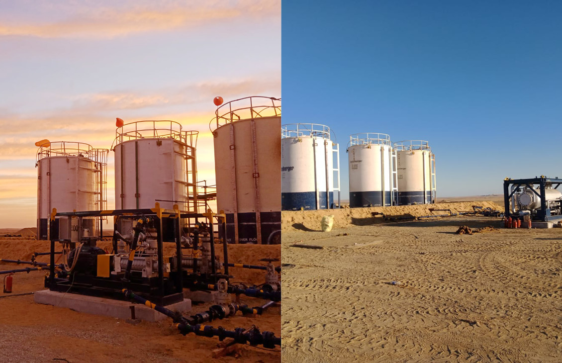 Production ExPRESS solutions helped deliver production from a marginal well for 2.5 years. 